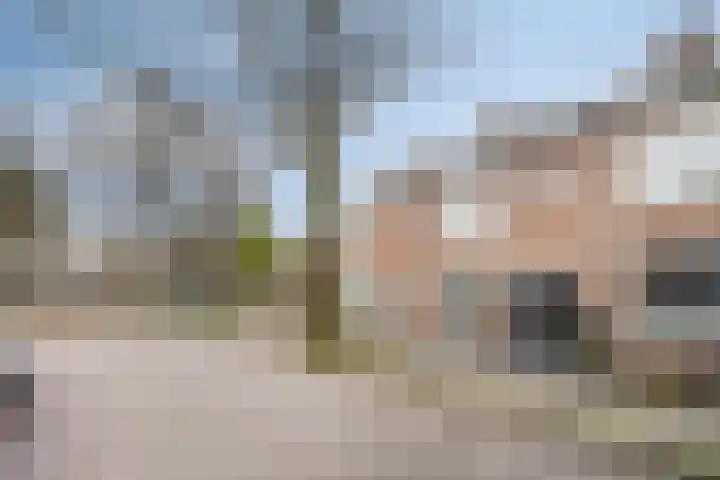 Fluwijnstraat 3 Eindhoven thumbnail 7
