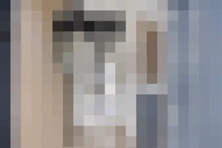 Fluwijnstraat 3 Eindhoven thumbnail 8