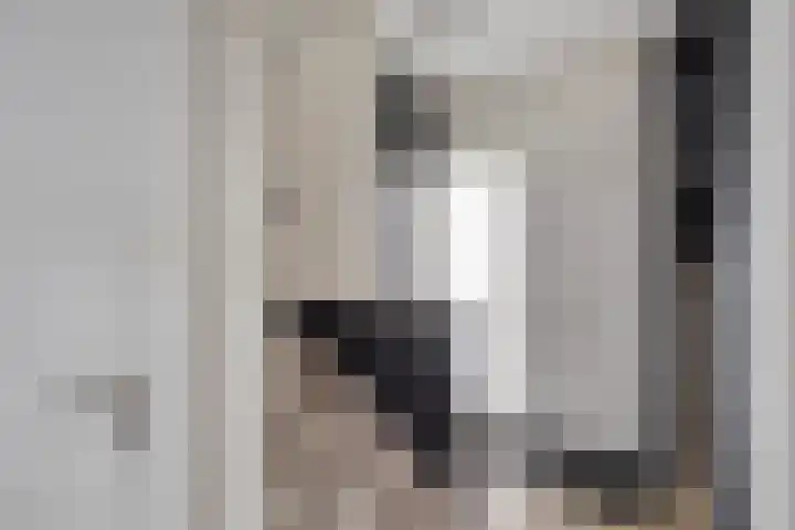 Fluwijnstraat 3 Eindhoven thumbnail 9