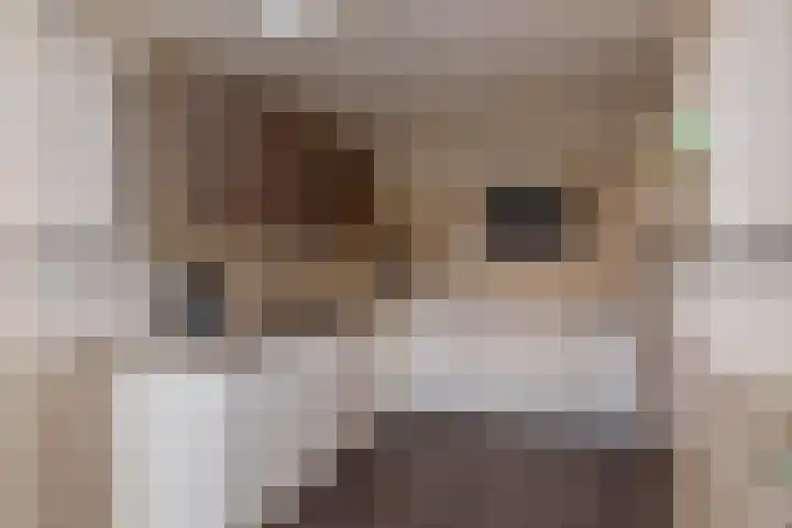 Fluwijnstraat 6 Eindhoven thumbnail 10