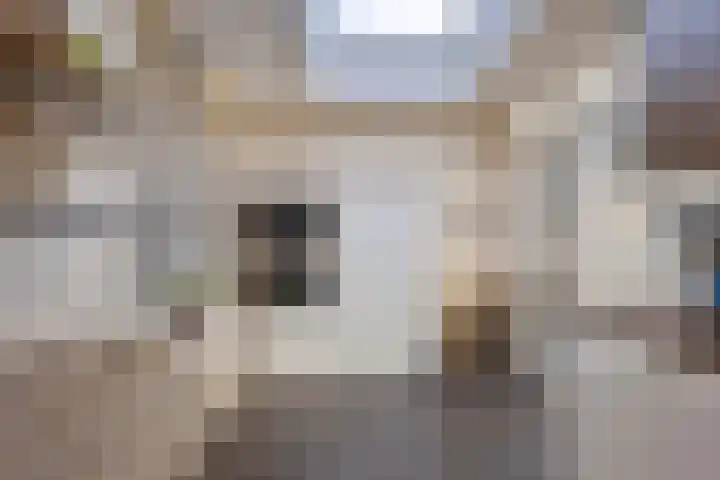 Fluwijnstraat 6 Eindhoven thumbnail 11