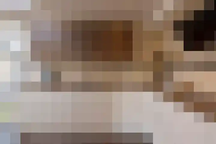 Fluwijnstraat 6 Eindhoven thumbnail 12