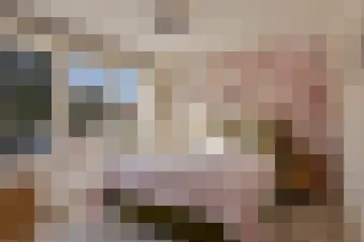 Fluwijnstraat 6 Eindhoven thumbnail 15