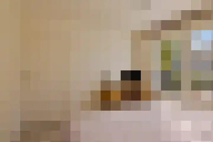 Fluwijnstraat 6 Eindhoven thumbnail 16