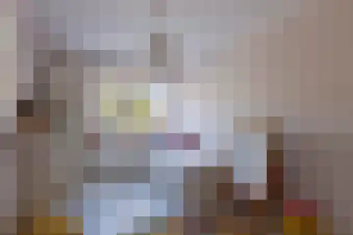 Fluwijnstraat 6 Eindhoven thumbnail 17