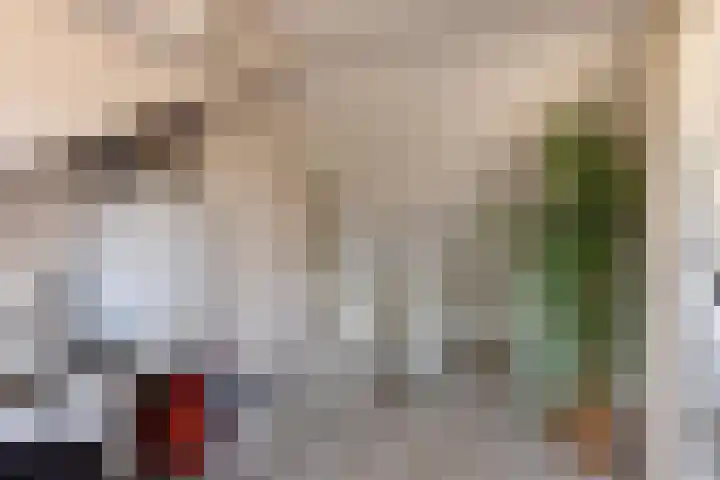 Fluwijnstraat 6 Eindhoven thumbnail 21