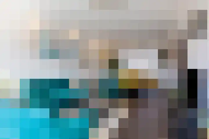 Fluwijnstraat 6 Eindhoven thumbnail 5