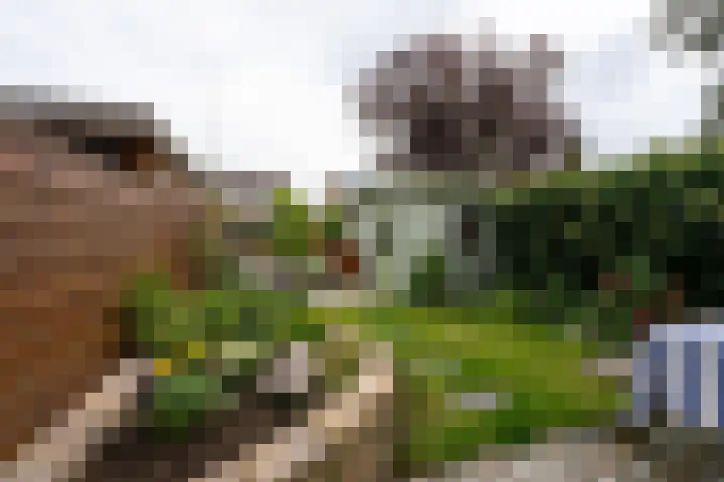 Fluytschip 33 De Rijp thumbnail 19