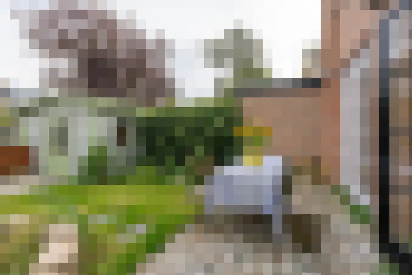 Fluytschip 33 De Rijp thumbnail 20
