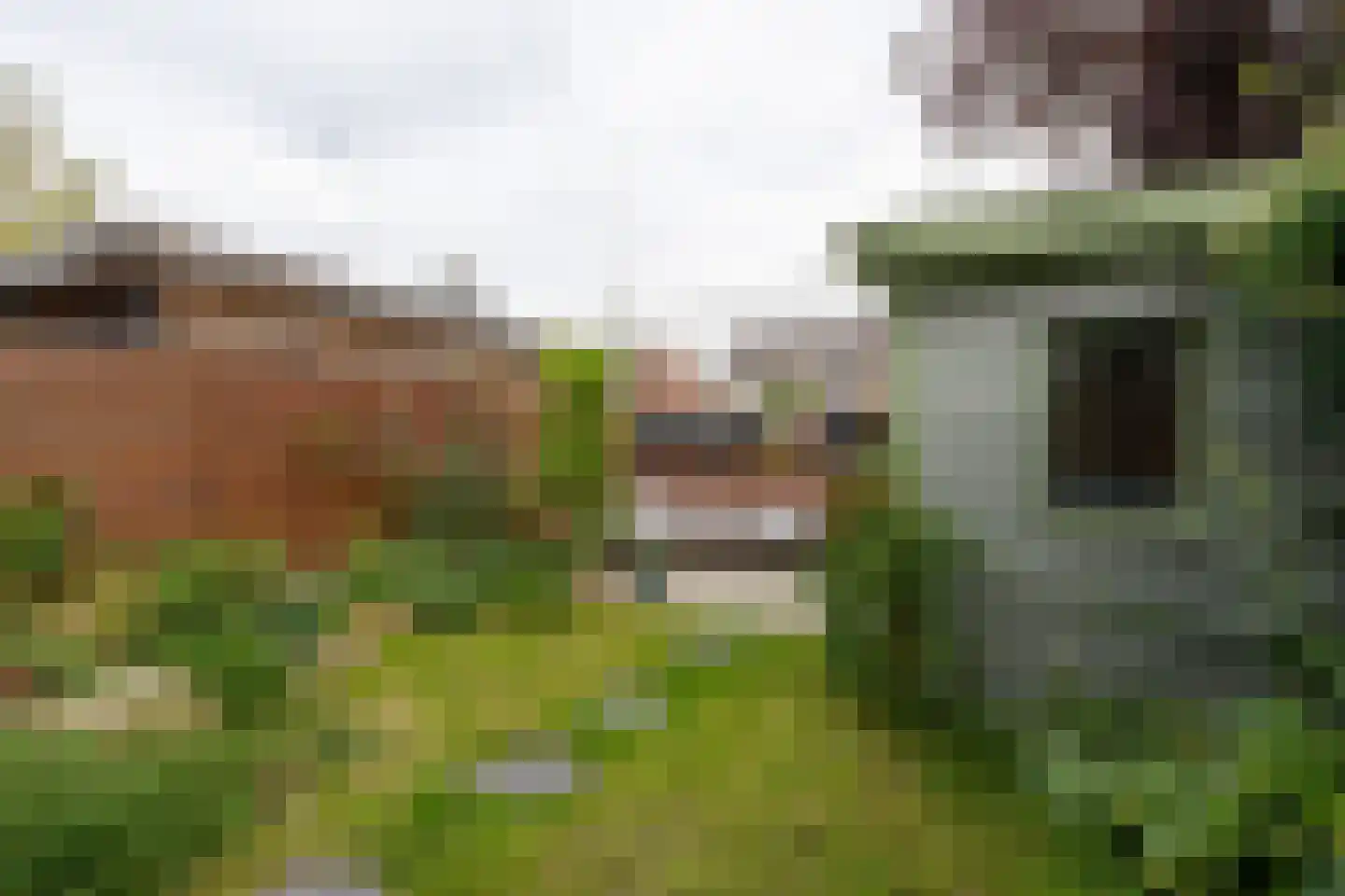Fluytschip 33 De Rijp thumbnail 22