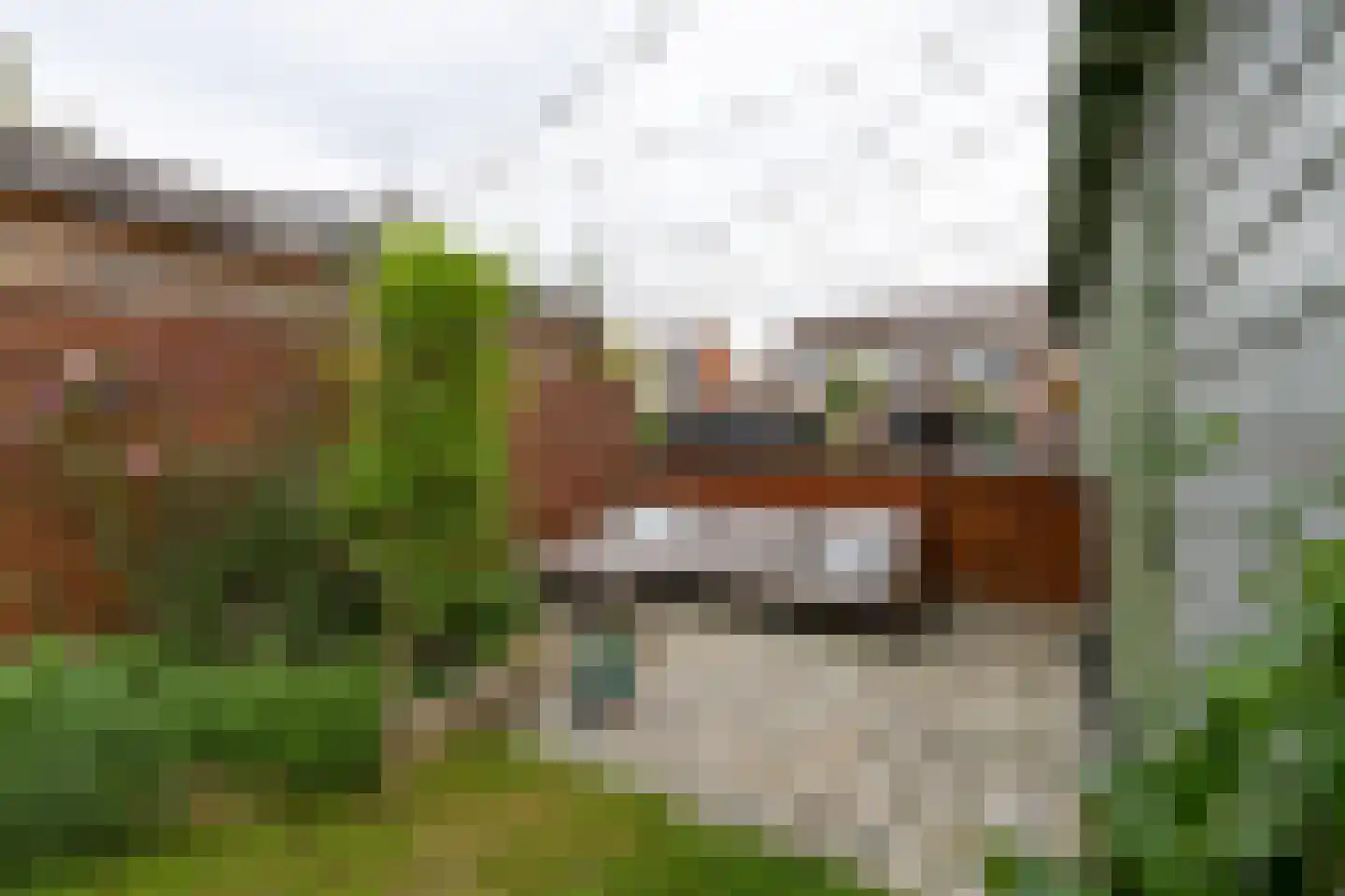 Fluytschip 33 De Rijp thumbnail 24
