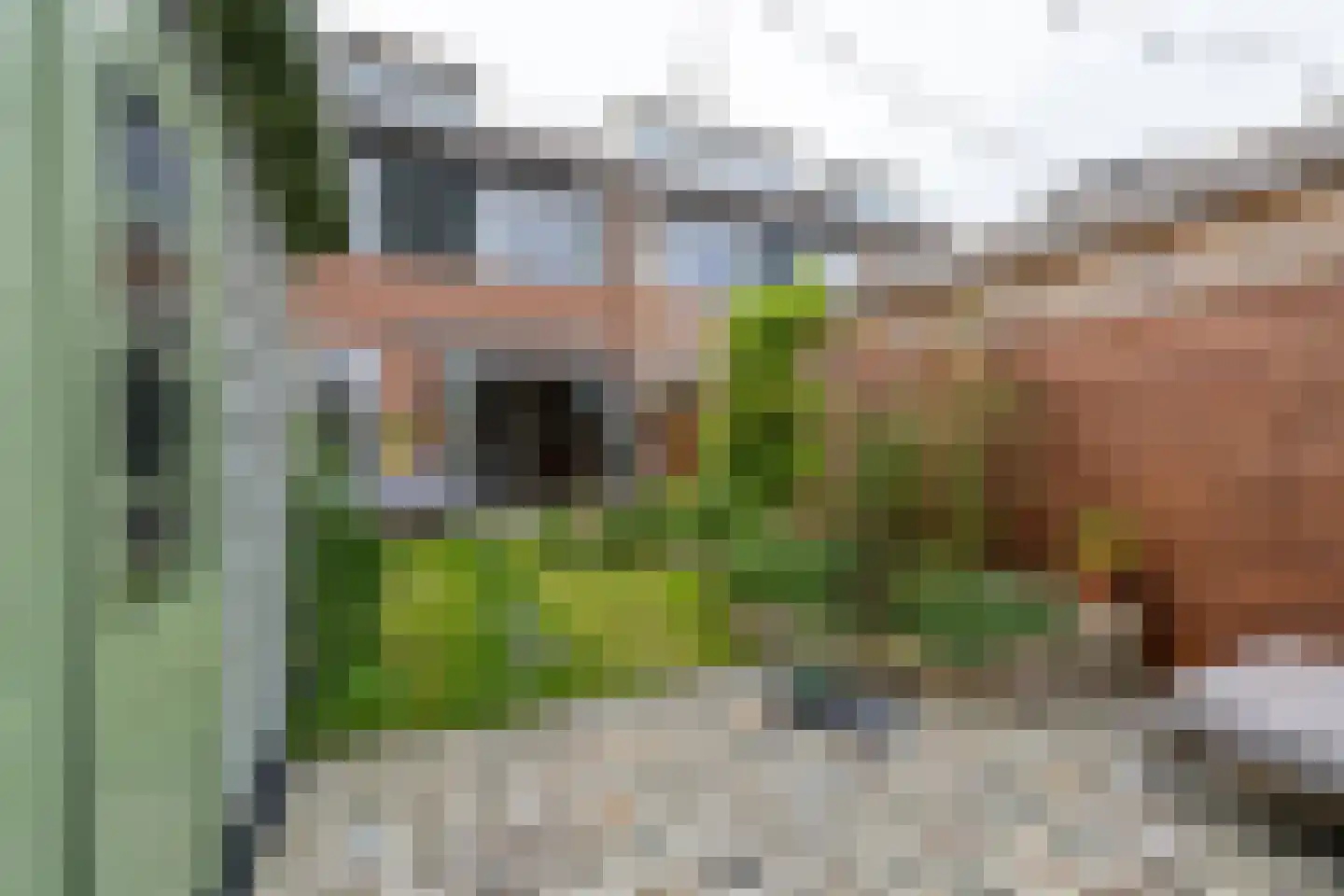 Fluytschip 33 De Rijp thumbnail 25