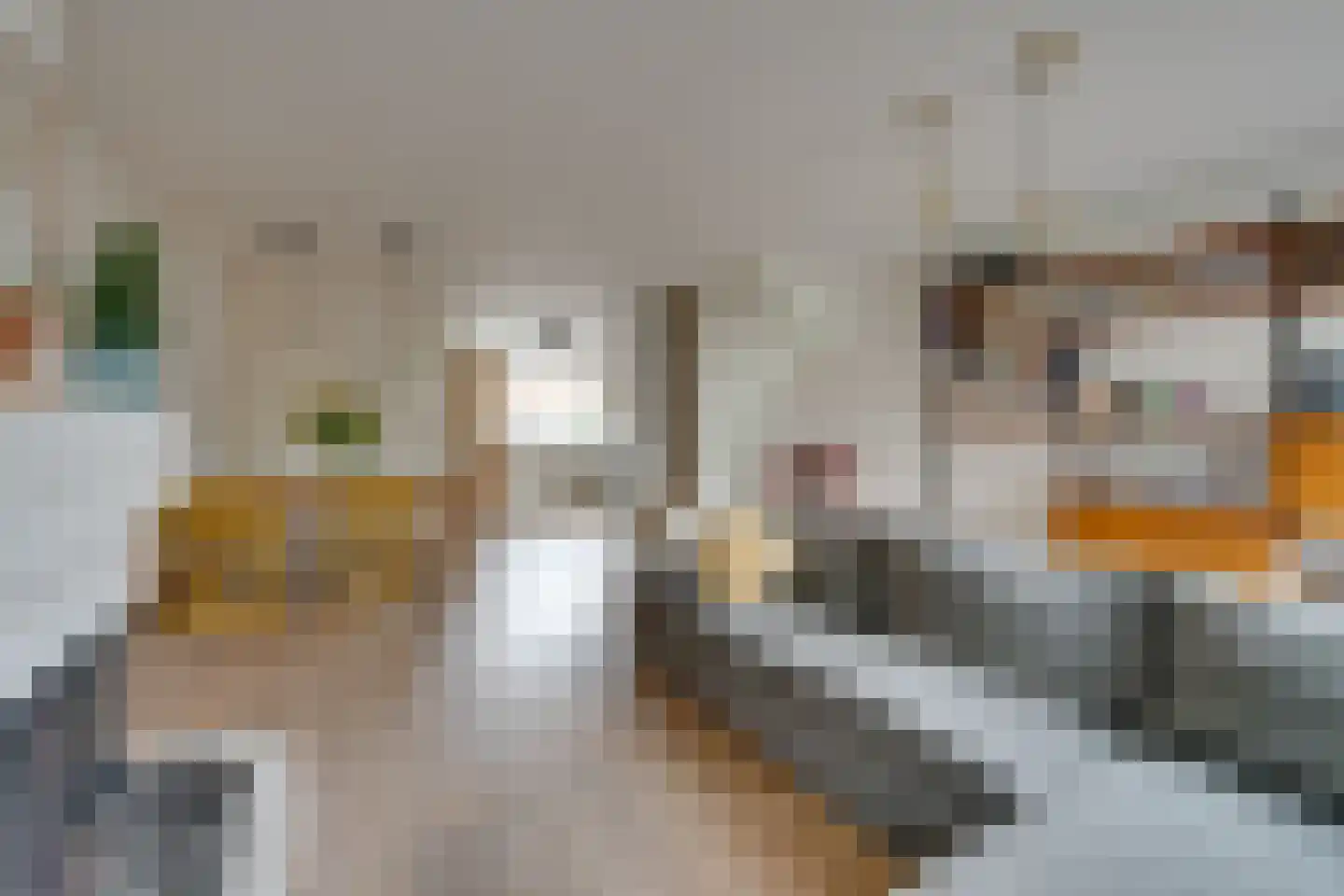Fluytschip 33 De Rijp thumbnail 4