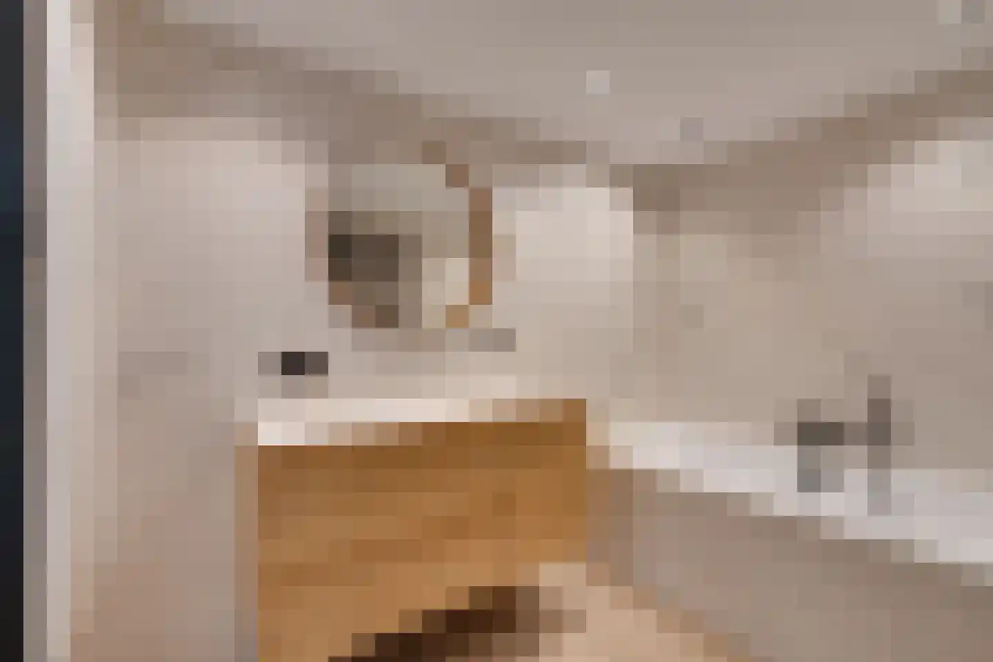 Fluytschip 33 De Rijp thumbnail 43