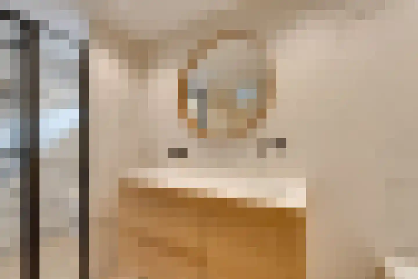 Fluytschip 33 De Rijp thumbnail 45