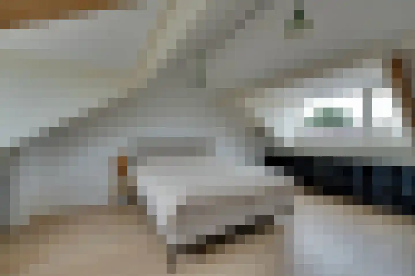 Fluytschip 33 De Rijp thumbnail 49