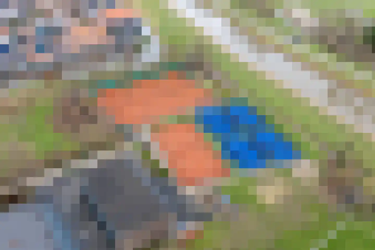 Fluytschip 33 De Rijp thumbnail 54