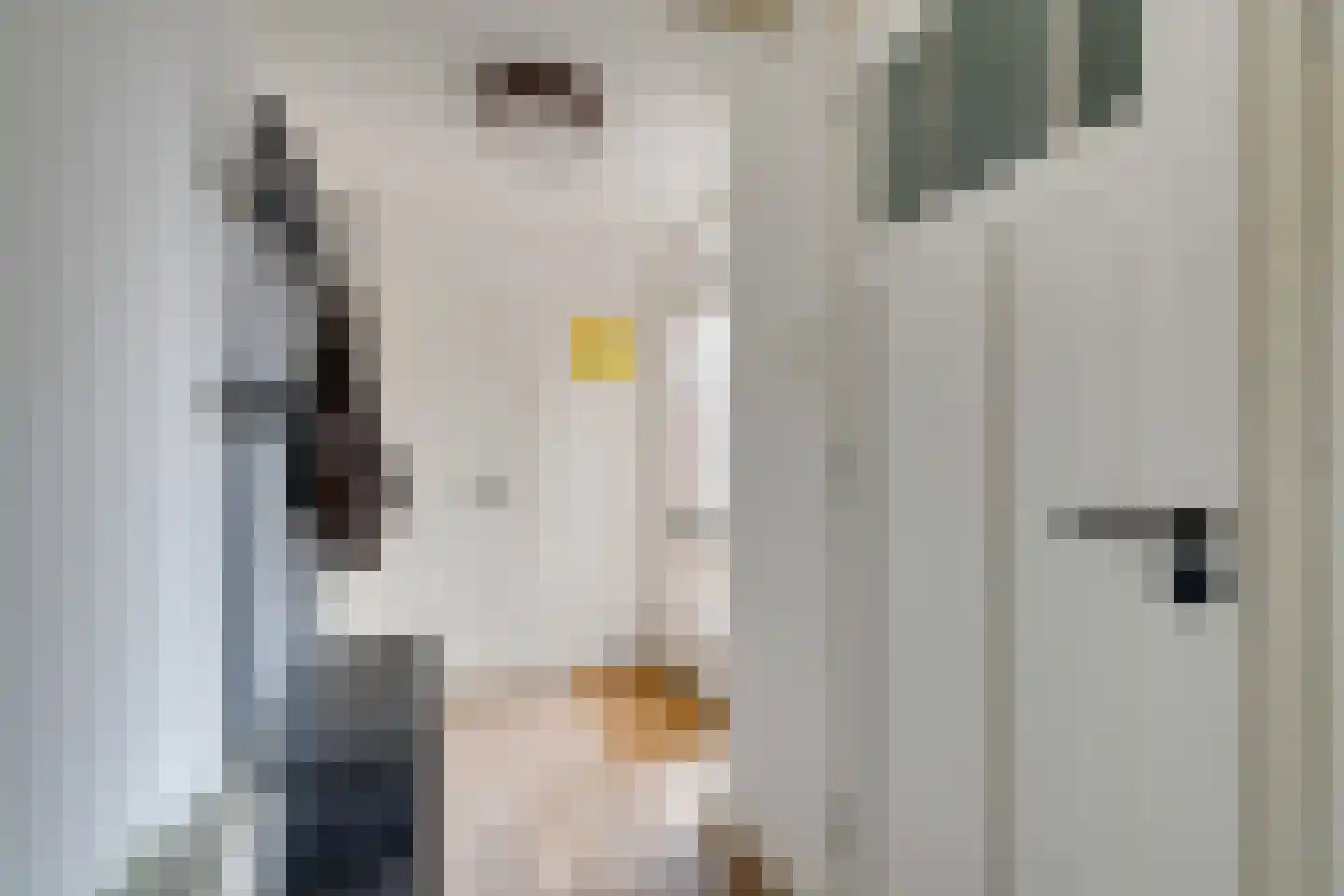 Fluytschip 33 De Rijp thumbnail 6