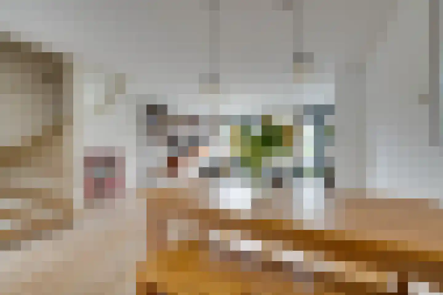 Fluytschip 33 De Rijp thumbnail 9