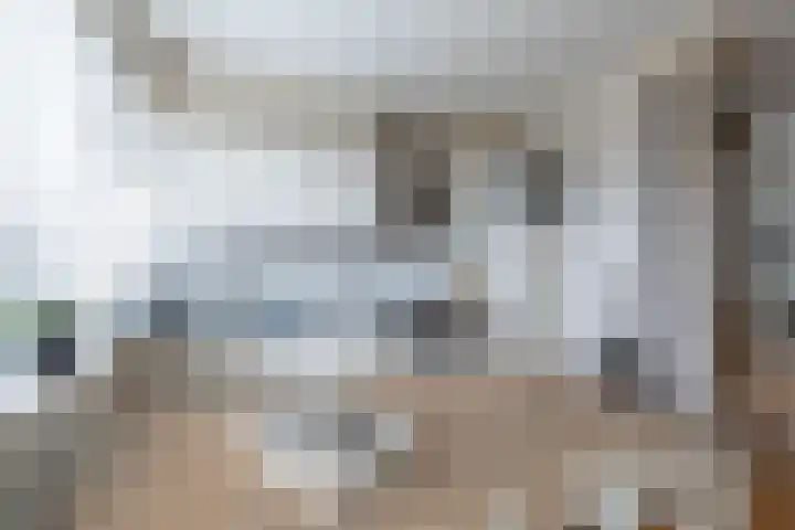 Fluytschip 36 De Rijp thumbnail 12