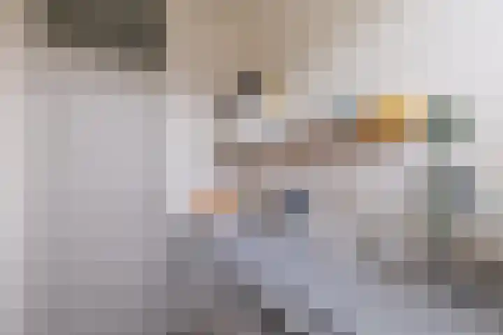 Fluytschip 36 De Rijp thumbnail 17