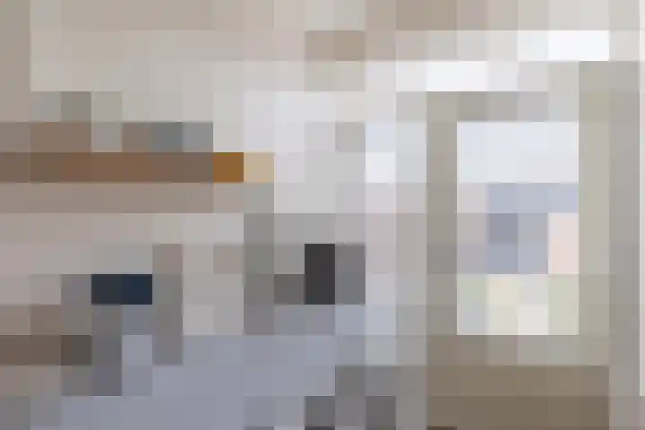 Fluytschip 36 De Rijp thumbnail 18