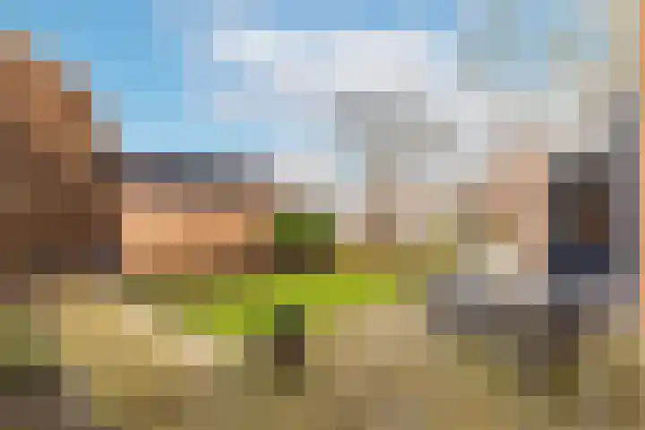 Fluytschip 36 De Rijp thumbnail 40