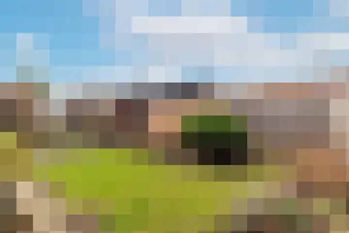 Fluytschip 36 De Rijp thumbnail 41