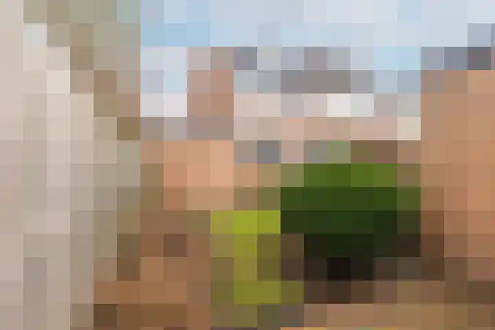 Fluytschip 36 De Rijp thumbnail 42