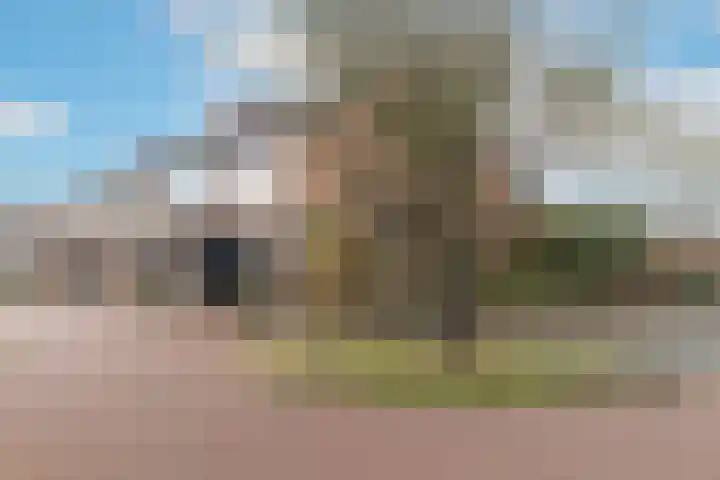 Fluytschip 36 De Rijp thumbnail 48