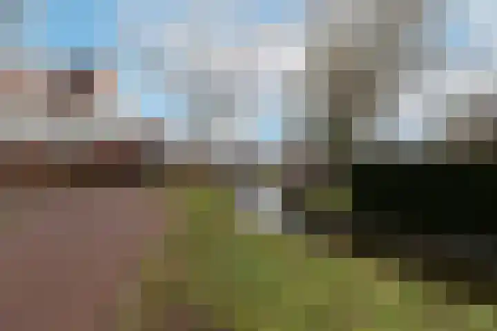 Fluytschip 36 De Rijp thumbnail 50