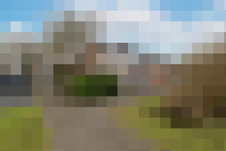 Fluytschip 36 De Rijp thumbnail 52