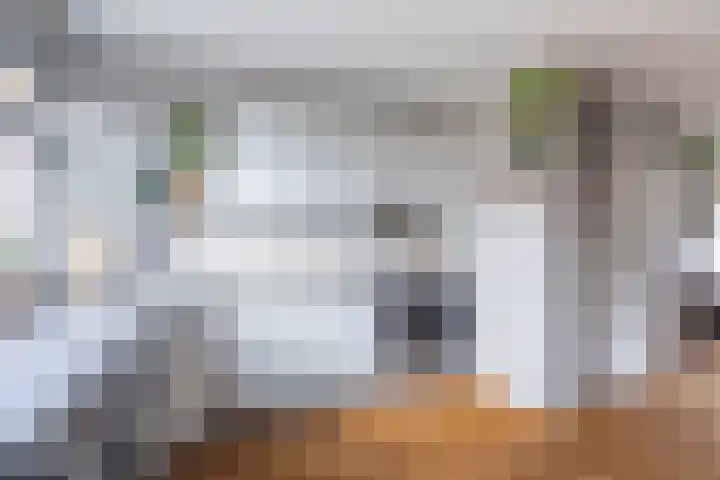 Fluytschip 42 De Rijp thumbnail 12