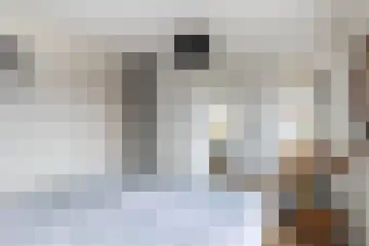 Fluytschip 42 De Rijp thumbnail 20