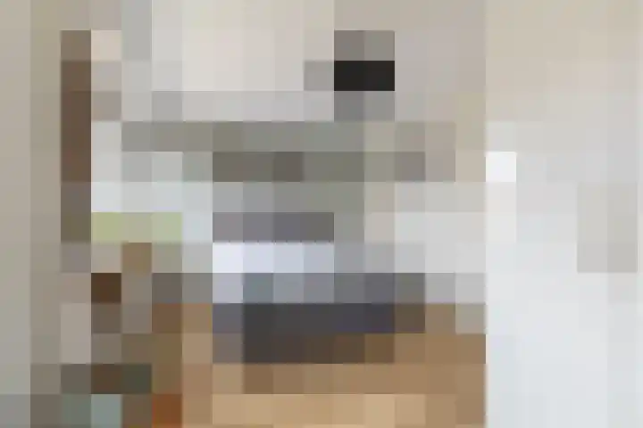 Fluytschip 42 De Rijp thumbnail 21