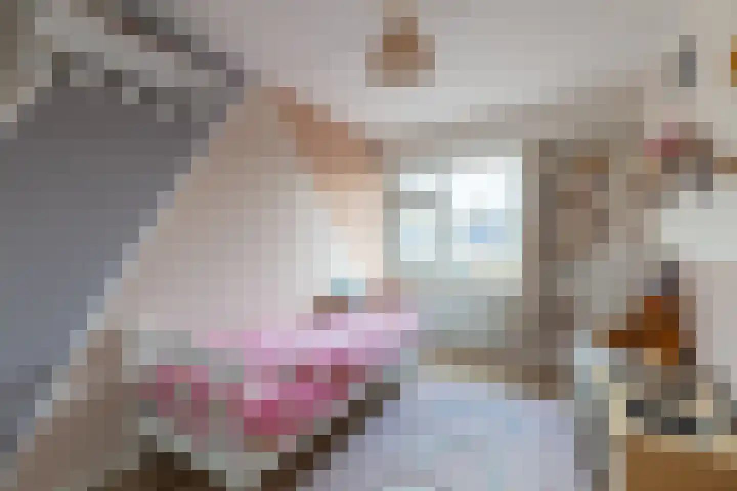 Fluytschip 42 De Rijp thumbnail 22
