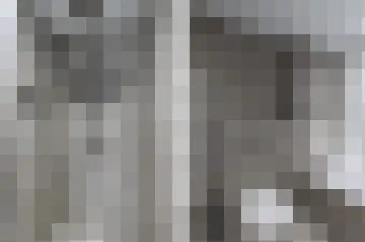 Fluytschip 42 De Rijp thumbnail 32