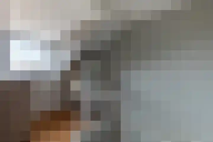 Fluytschip 42 De Rijp thumbnail 34