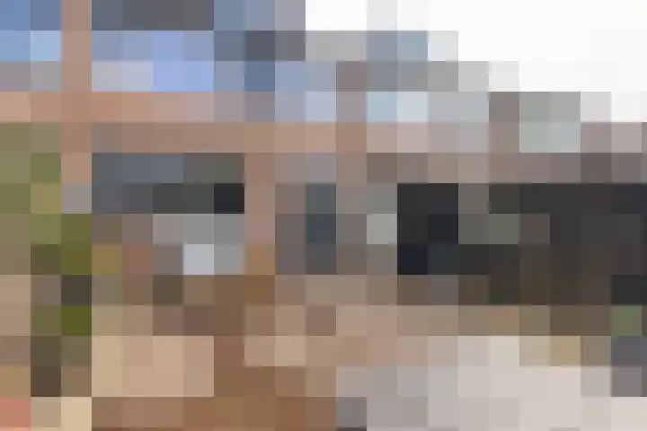 Fluytschip 42 De Rijp thumbnail 42