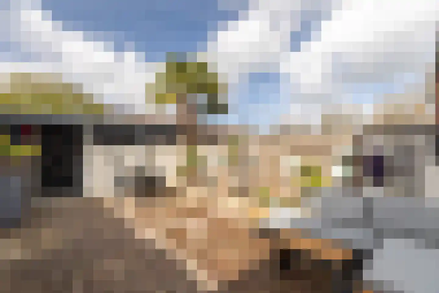 Fluytschip 42 De Rijp thumbnail 44