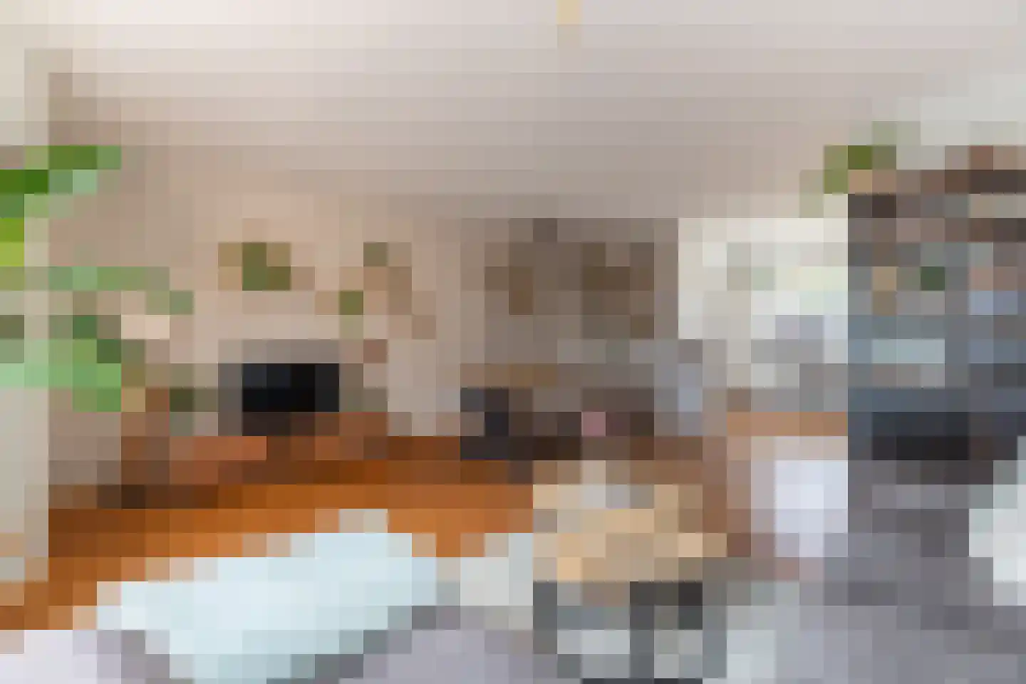 Fluytschip 42 De Rijp thumbnail 5