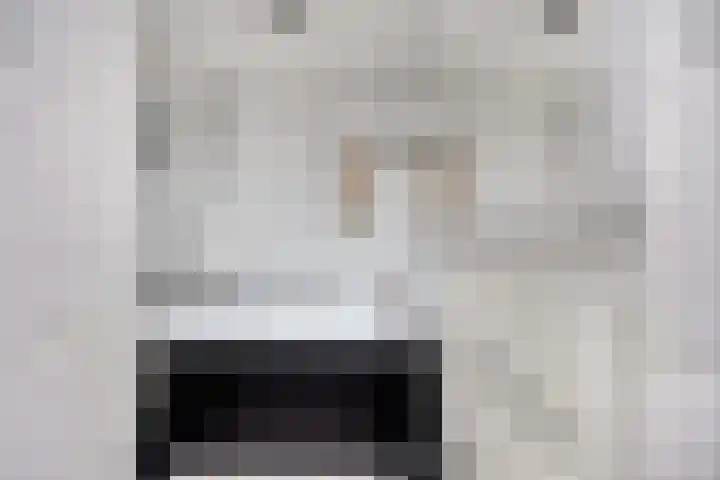 Fnidsen 18 Alkmaar thumbnail 17