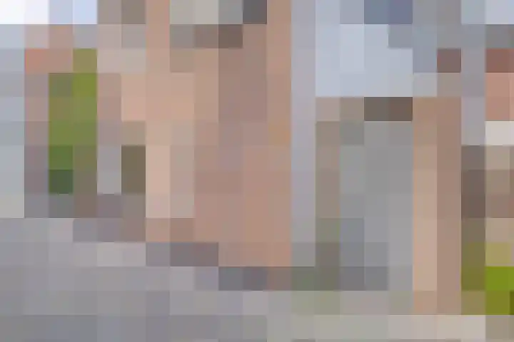 Fnidsen 18 Alkmaar thumbnail 27