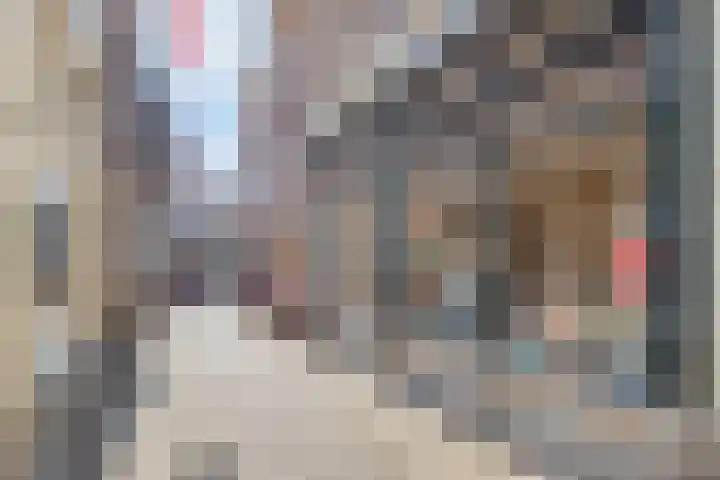 Fnidsen 18 Alkmaar thumbnail 30