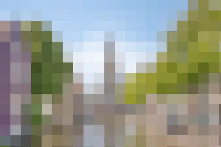 Fnidsen 18 Alkmaar thumbnail 33