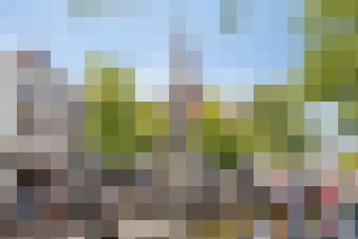 Fnidsen 18 Alkmaar thumbnail 34