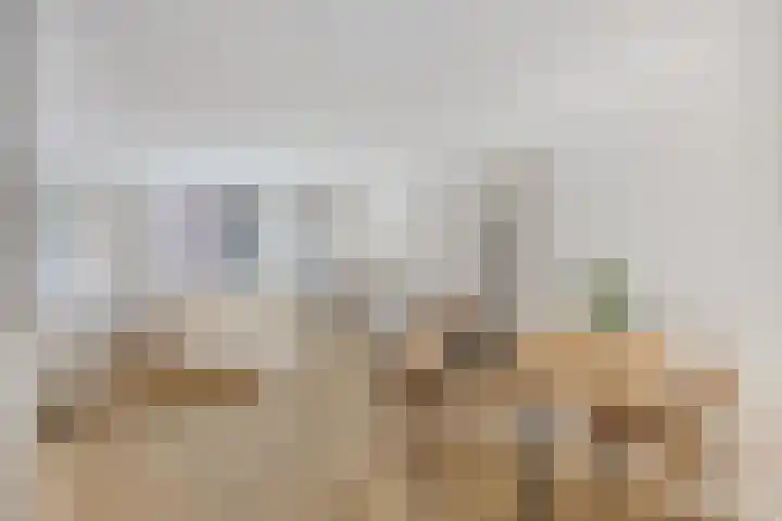 Fnidsen 18 Alkmaar thumbnail 5