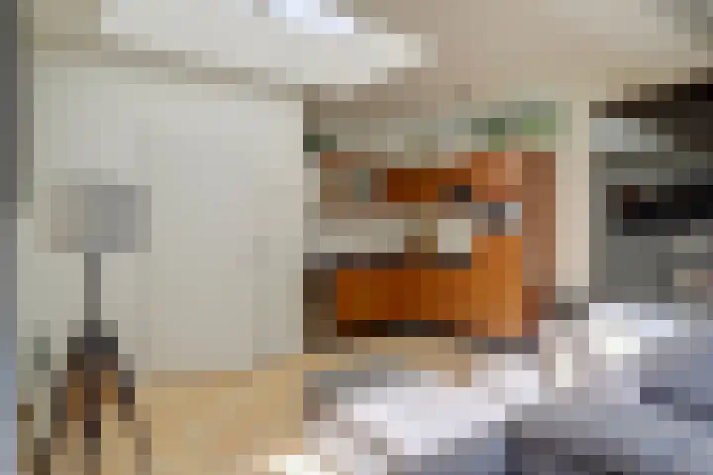 Fnidsen 27 A Alkmaar thumbnail 11