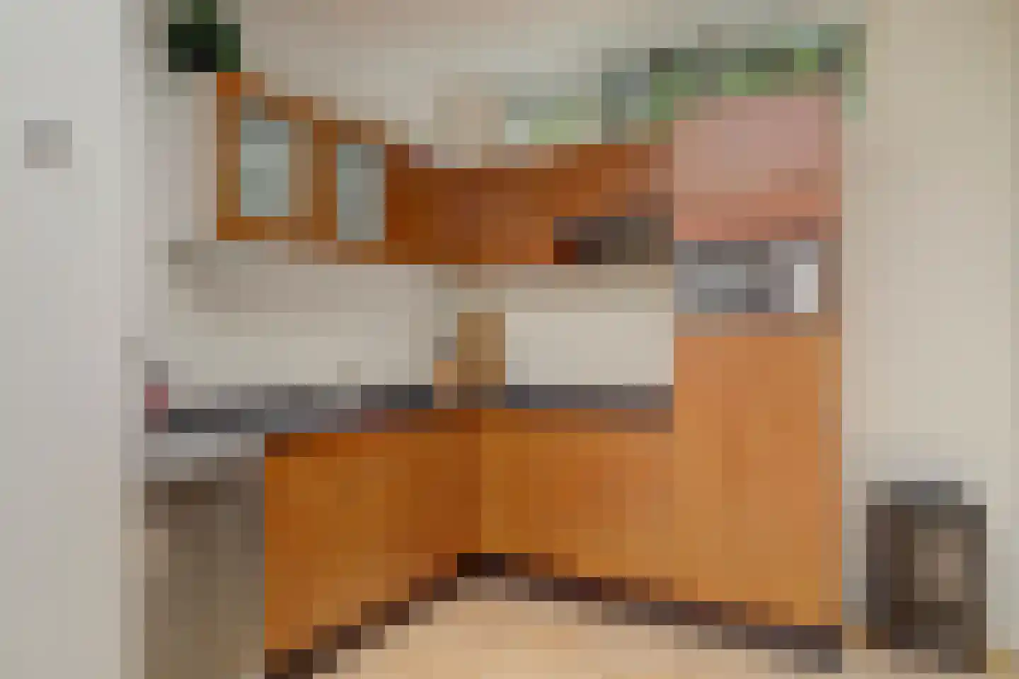 Fnidsen 27 A Alkmaar thumbnail 12
