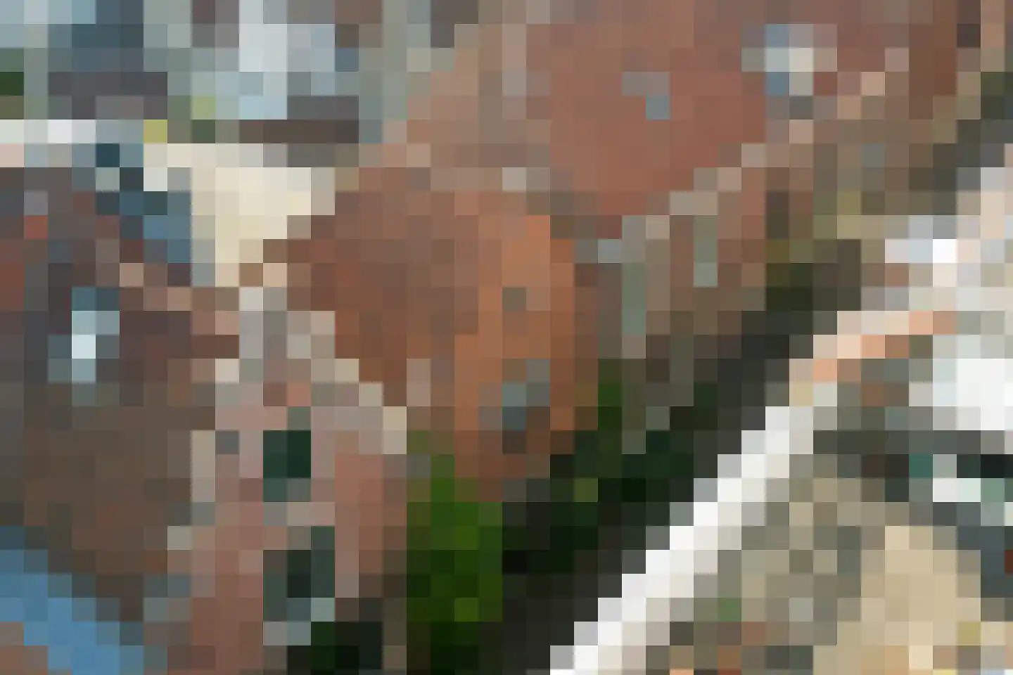 Fnidsen 27 A Alkmaar thumbnail 29